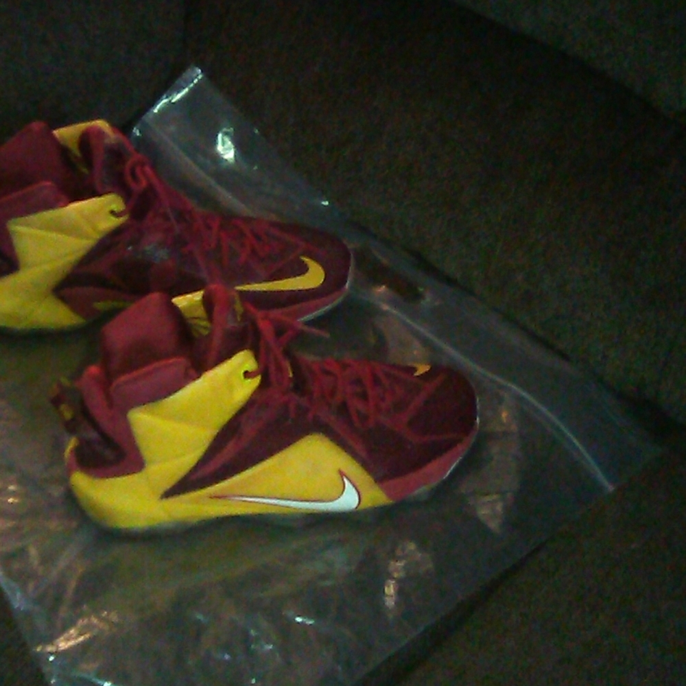 Men's Nike "LeBron James" Shoes